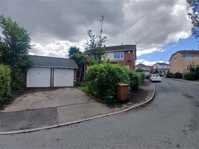 Picture 17